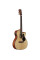 Acoustic-Electric Guitar Alvarez AF30CE