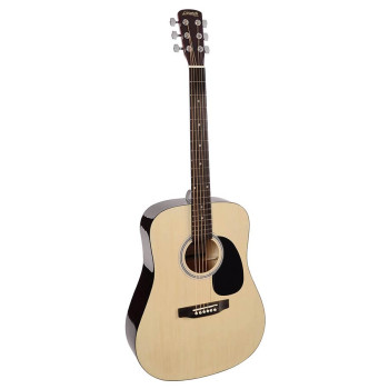Acoustic guitar Nashville by Richwood GSD-60-NT