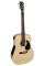 Акустична гітара Nashville by Richwood GSD-60-NT