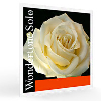 Струни для скрипки Pirastro Wondertone Solo (Ля-сталь, Мі-кулька) (4/4 Size, Medium Tension)