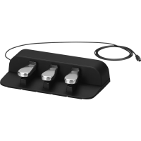 Педальний блок Casio SP-34