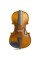 Скрипка Stentor 1542/A Graduate  Violin Outfit (4/4)