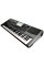 Синтезатор Korg PA900