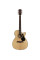 Acoustic-Electric Guitar Alvarez AF30CE