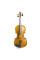 Violin Stentor 1500/E Student II Violin Outfit (1/2)