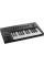 MIDI-клавіатура Native Instruments Komplete Kontrol A25