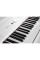 Цифрове піаніно Artesia Performer (White)