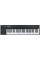 MIDI Keyboard Alesis VI61