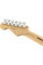 Електрогітара Fender Player Stratocaster MN (Black)