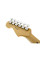 Електрогітара FENDER STANDARD STRATOCASTER PLUS TOP RW TBS