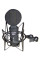 Universal Microphone Prodipe RIBBON 1