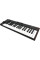 MIDI Keyboard IK Multimedia iRig Keys 2 Pro