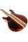 Bass Guitar Cort A4 Plus FMMH (Open Pore Black Cherry)