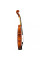 Скрипка Yamaha V3SKA (3/4)