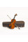Violin Stentor 1018F Student Standard (1/4)