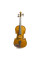 Скрипка Stentor 1400/I Student I Violin Outfit (1/16)