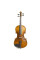 Скрипка Stentor 1542/E Graduate Violin Outfit (1/2)