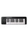 USB/MIDI-клавиатура Alesis Q25