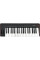 MIDI Keyboard IK Multimedia iRig Keys 2 Pro