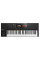 MIDI-Keyboard Native Instruments Komplete Kontrol S49 MK2