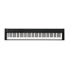 Digital piano Korg D1 (Black)