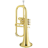 Флюгельгорн Amati AFH 201-0 Горн Amati AFH 201-0