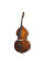 Контрабас Stentor 1438/A Student II Double Bass (4/4)