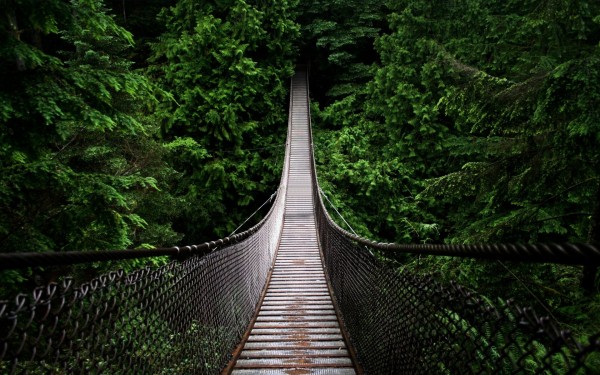 подарки музыканту