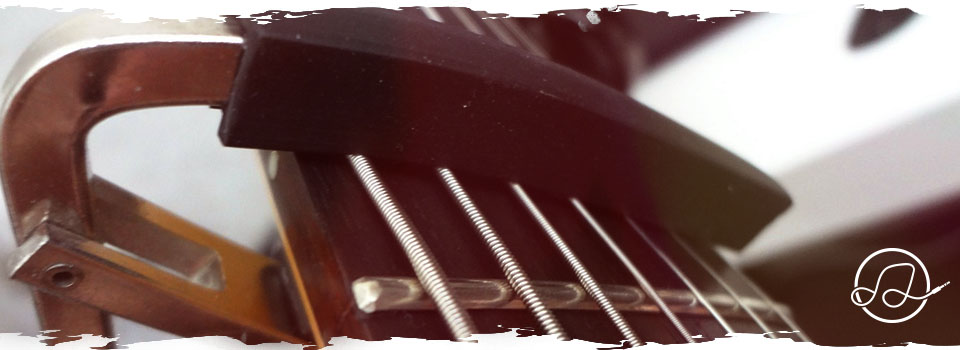 Каподастри