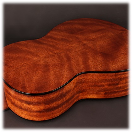 lower deck and shell