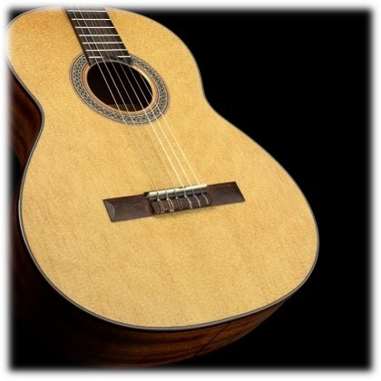 spruce top