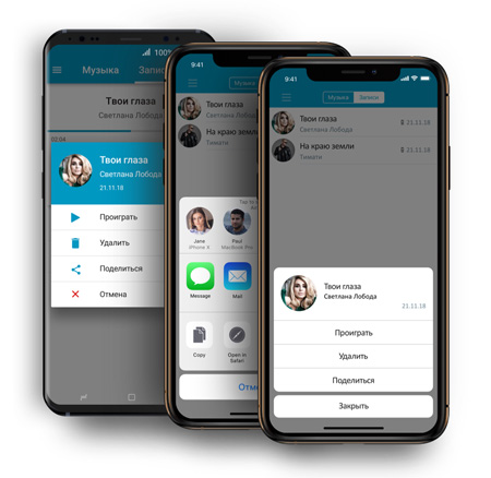 Караоке-система Evolution EVOBOX Plus