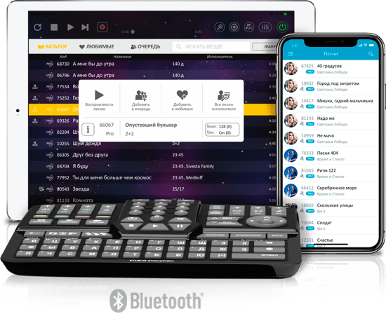 Караоке-система Evolution EVOBOX