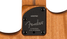 Fender American Acoustasonic Stratocaster detaliling