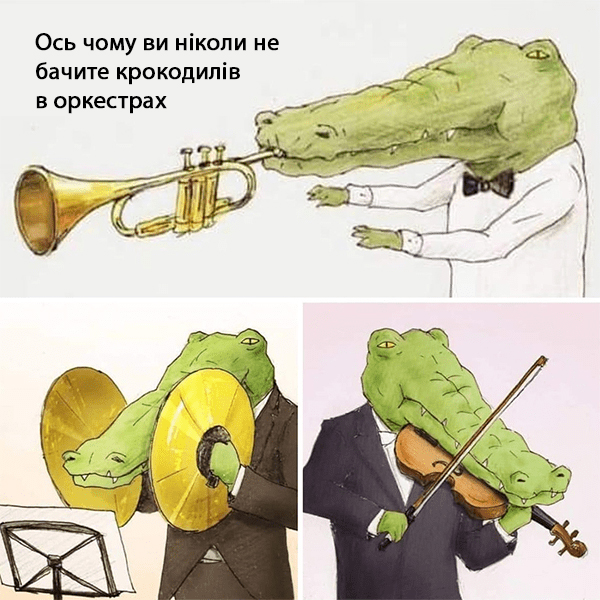 Crocs in the orchestra