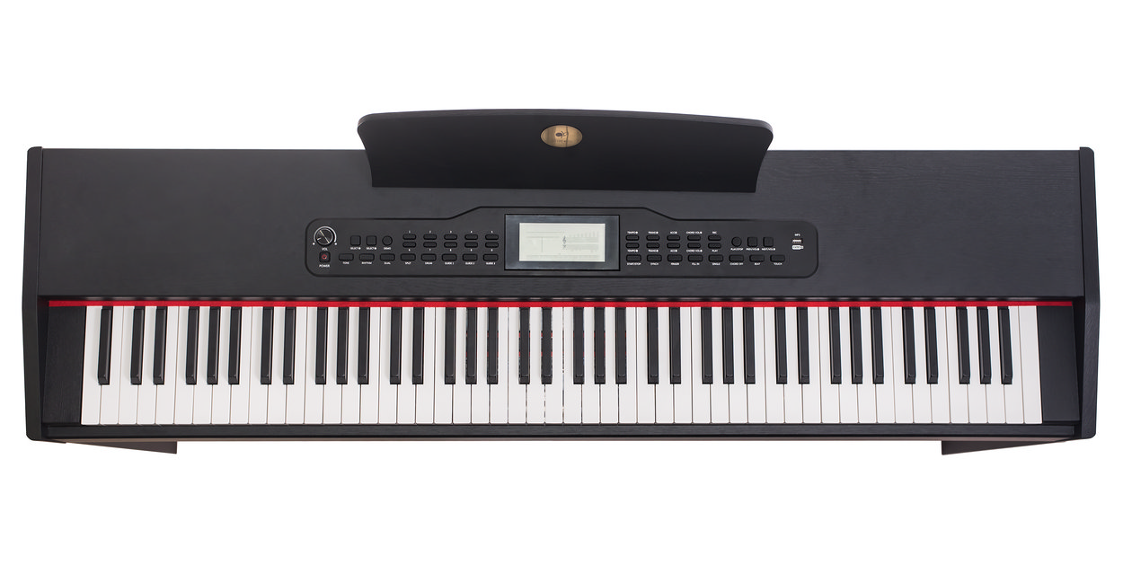 Alfabeto Vivo (Black)