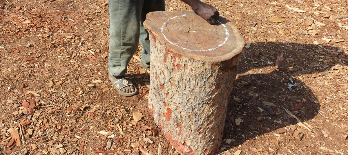 Djambe's manufacturing process