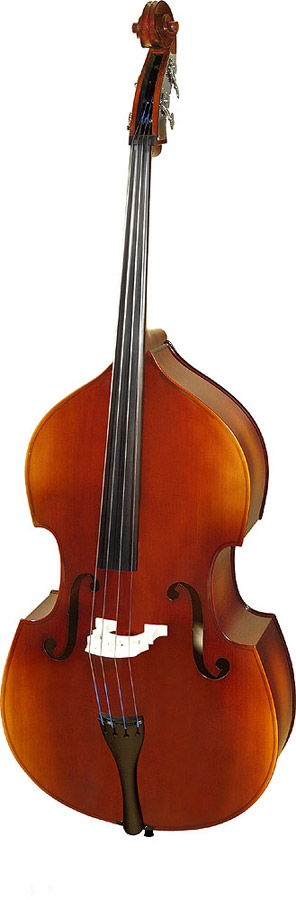 Double Bass Hora B120 (4/4)