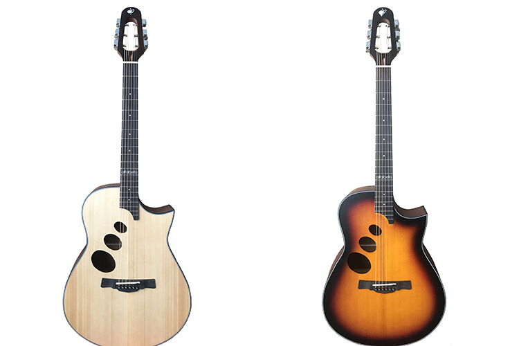 Акустичні гітари серії Gamma