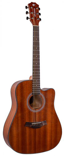 Акустична гітара Alfabeto SAPELE WS41 ST + чохол