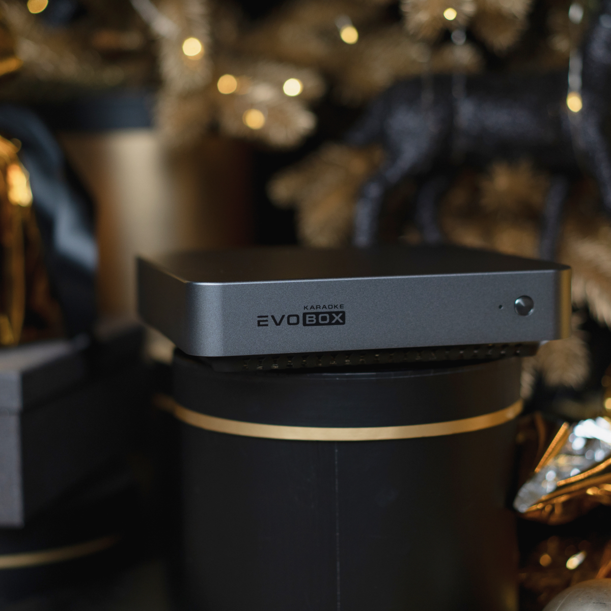 300 songs as a gift for the Studio Evolution EVOBOX Plus Karaoke system