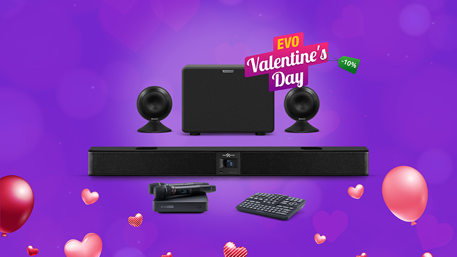 -10% на повний караоке-комплект EVOBOX (караоке-система + мікрофони + аудіосистема)