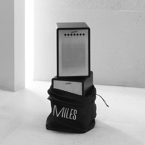 Bookshelf Acoustics Gadhouse Miles for 11550 UAH