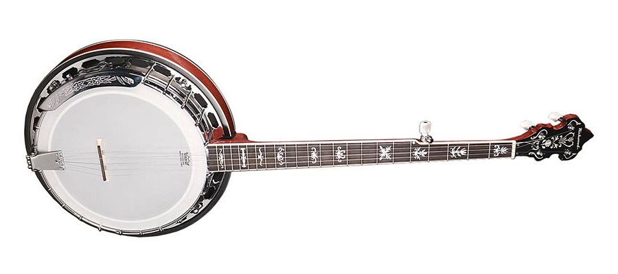 Банджо блюграс Richwood RMB-905-A за 19950 грн