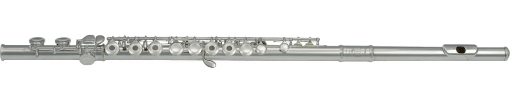 Флейта SML Paris VSM FL300R за 12474 грн