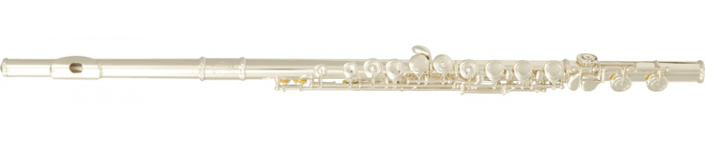 Флейта SML Paris VSM FL400E за 17955 грн