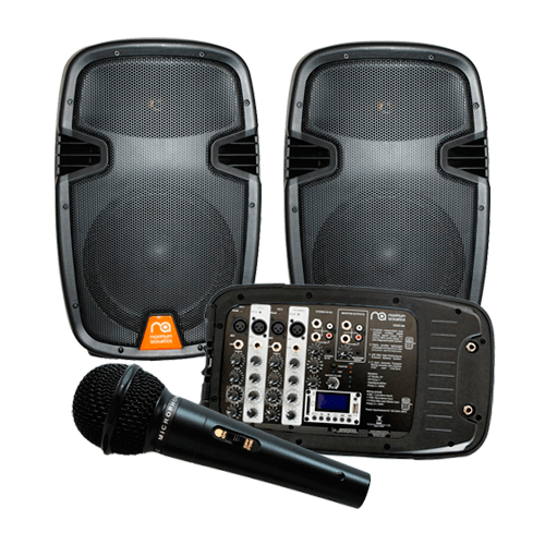 Maximum Acoustic Voice 400